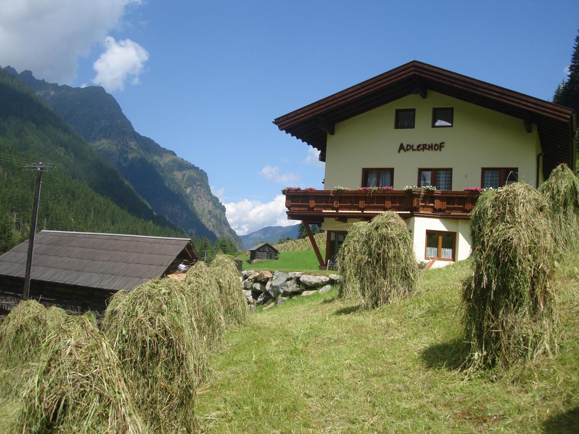 Adlerhof Appartement *
